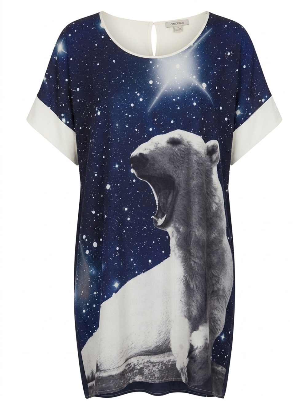 Emma Cook Blue and White Polar Bear Graphic Tunic Top